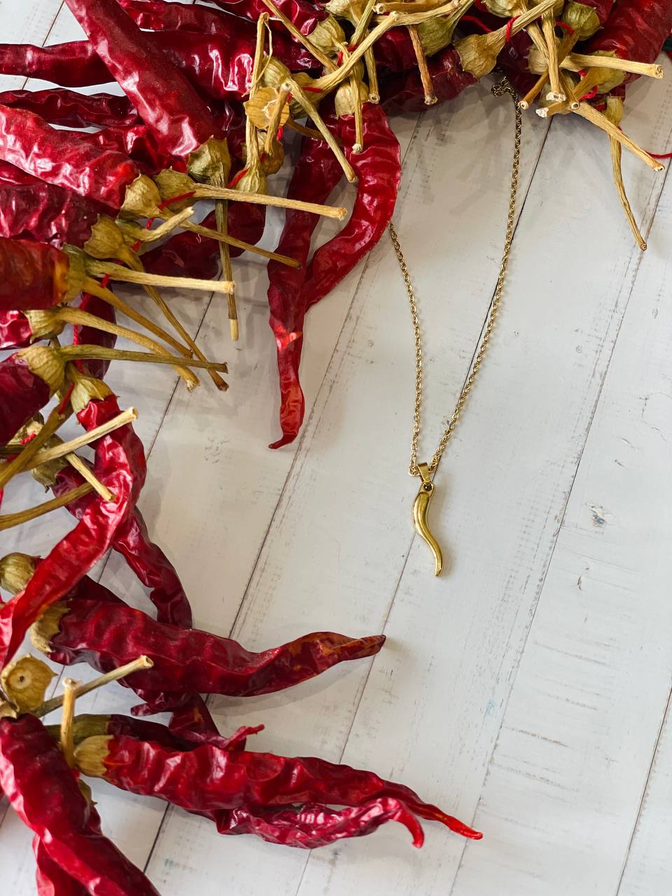 Collana corno portafortuna